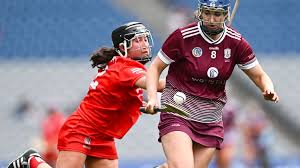 Image result for Green Isle Camogie Club - Players Wanted!