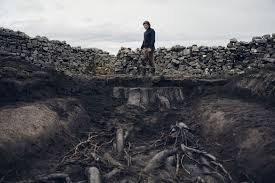 Image result for Sylvan Green 1981 Jaguar