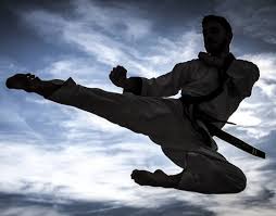 Image result for Sokudo Martial Arts Club