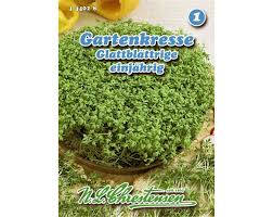 Image result for Gartenkresse