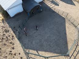 Image result for Greenways Riding Stable Lower Eashing