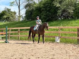 Image result for Kings Ranch Riding School/Club