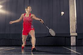 Image result for Stanstead Abbotts Badminton Club