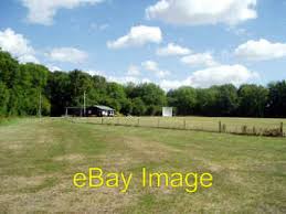 Image result for Flamingo Cricket Club