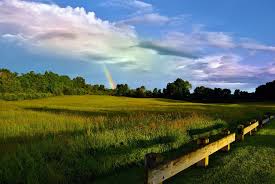 Image result for Mole Valley Bowmen