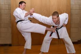 Image result for Combined self defence arts