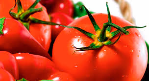 Image result for Tomate