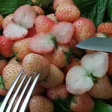 Attēlu rezultāti vaicājumam “Rubus illecebrosus fruit”