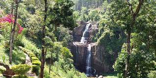 Image result for Яла заповедник