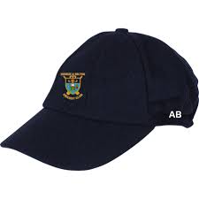 Image result for Welton Cricket Club