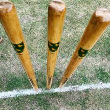 Image result for Lynchmere Cricket Club