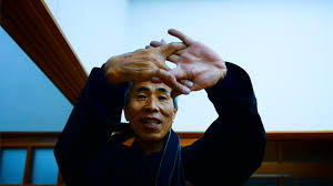 Image result for Bujinkan Lincon Dojo