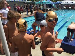 Image result for Box Hill Swim Team