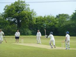 Image result for Dinas Powys Cricket Club