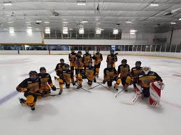 Image result for Bradford Ice Skating Club