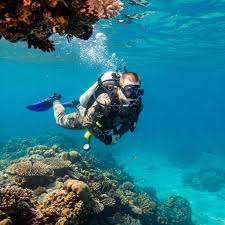 Image result for Great Western Divers