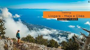 Image result for Bradford Sub-Aqua Club