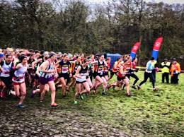 Image result for Trent Park Running Club