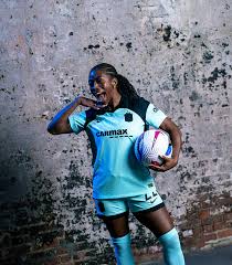 Image result for Gotham Soccer League