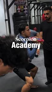 Image result for Scorpion Martial Arts Academy