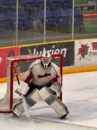 Image result for Rayleigh boys under 7's Leopards- need a Goalie!