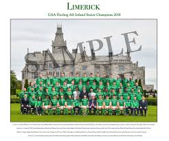 Image result for University Of Limerick Gaa Hurling Club