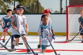 Image result for York University Street Hockey Club