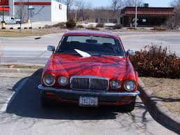 Image result for Platinum 1979 Jaguar