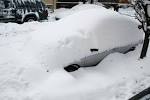 Need snow? We've got you covered! « In the Night Kitchen