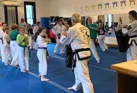 Image result for Abbey Fit Tae Kwon Do