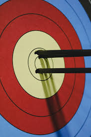 Image result for Blue Arrows Archery Club