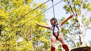 Image result for Go Ape! Leeds Castle