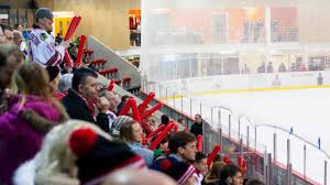 Image result for Streatham Youth Ice Hockey Club