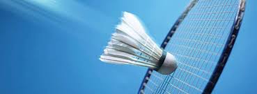 Image result for Christleton Badminton Club