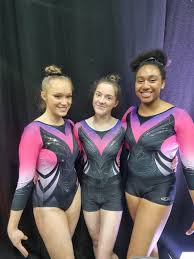 Image result for Appley Bridge Gymnastics Club