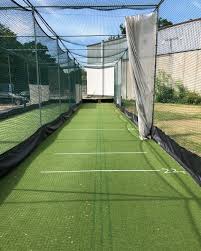 Image result for Oxshott Village Cricket Club