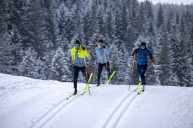 Image result for Manchester Cross Country Ski Club