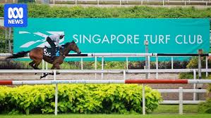 Image result for The Horse Racing Club
