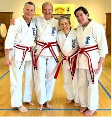 Image result for Aylesbury Vale Seido Karate