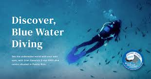 Image result for Blue Water Diving