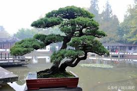 Image result for 艰苦阅历 孔泰初