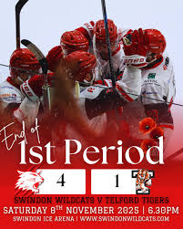 Image result for Swindon Panthers