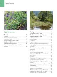 Attēlu rezultāti vaicājumam “Chara intermedia male”