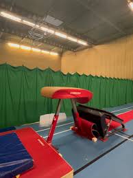 Image result for Epping Forest Elite Gymnastics Club