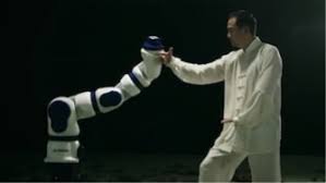 Image result for Intelligent Martial Arts