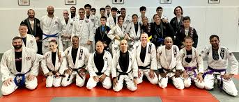 Image result for Bilsborrow Ju Jitsu Club