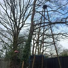 Image result for Sandhurst Tug Of War Club