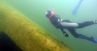 Image result for Ruislip Snorkelling Club