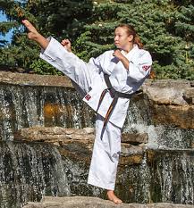 Image result for Kyokushinkai Karate Bradford