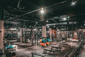 Image result for Lynx Gymnastics Club